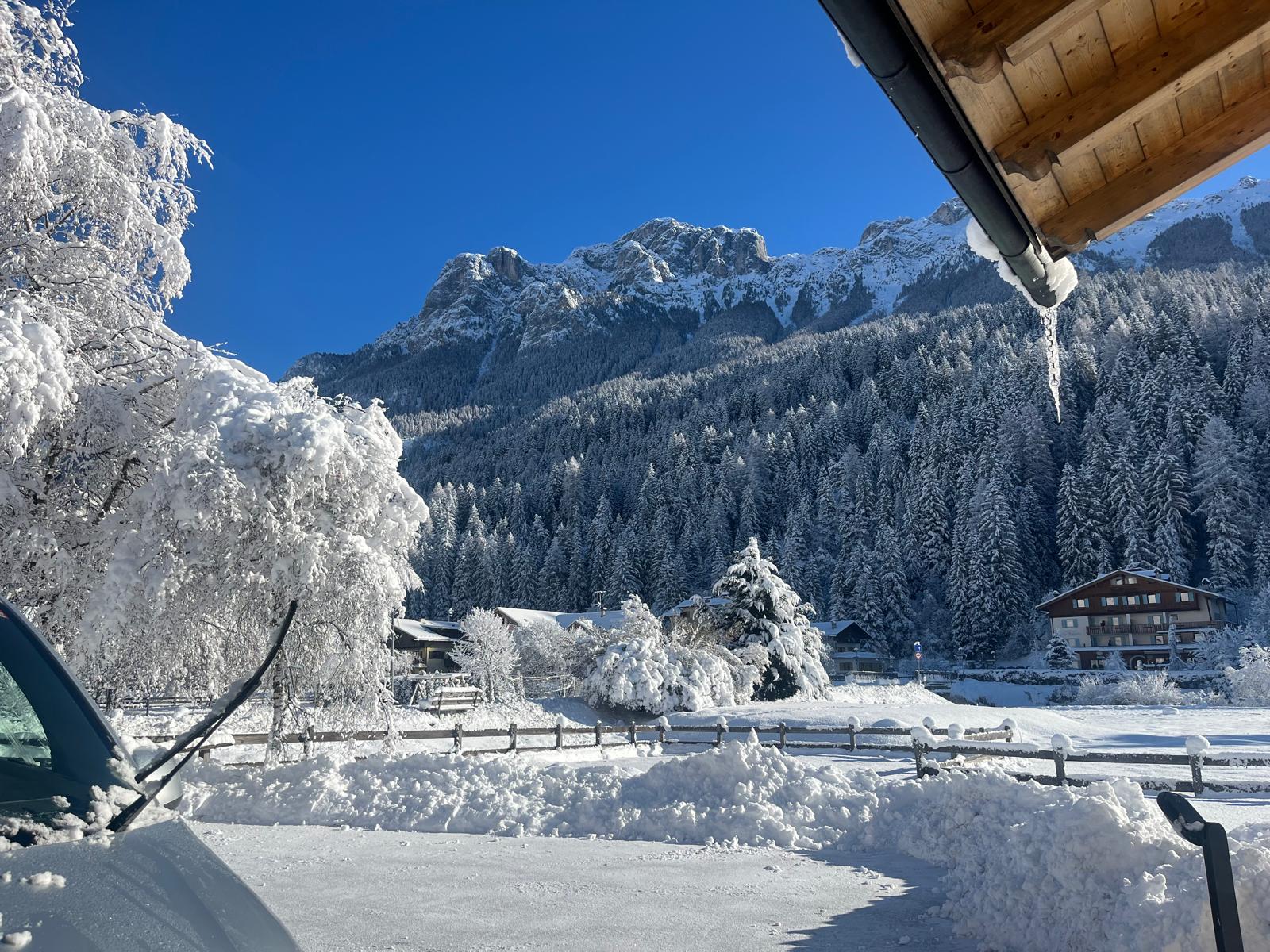 L'accesso privato alla struttura, comodo, pulito dalla neve e curato in ogni dettaglio.