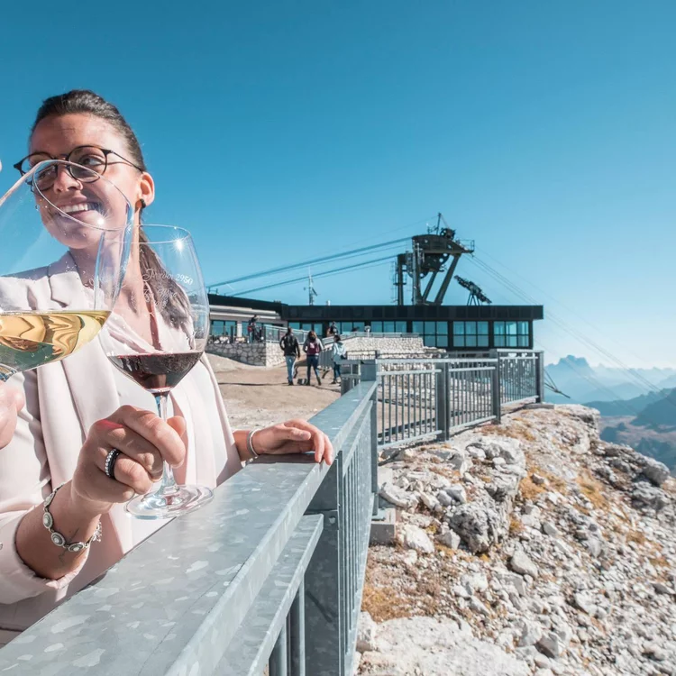 Top Wine 2950 Sass Pordoi Dolomiti UNESCO